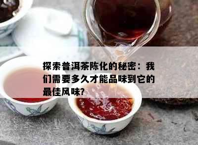 探索普洱茶陈化的秘密：我们需要多久才能品味到它的更佳风味？