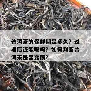 普洱茶的保鲜期是多久？过期后还能喝吗？如何判断普洱茶是否变质？