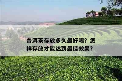 普洱茶存放多久更好喝？怎样存放才能达到更佳效果？