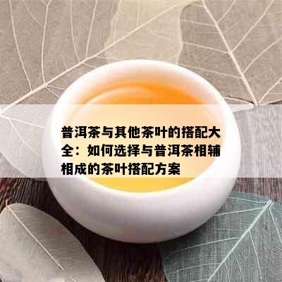 普洱茶与其他茶叶的搭配大全：如何选择与普洱茶相辅相成的茶叶搭配方案