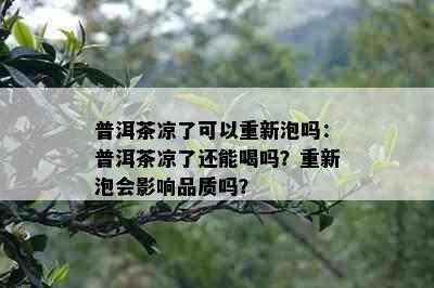 普洱茶凉了可以重新泡吗：普洱茶凉了还能喝吗？重新泡会影响品质吗？