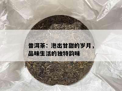 普洱茶：泡出甘甜的岁月，品味生活的独特韵味