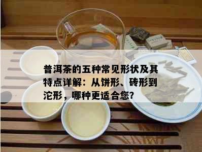 普洱茶的五种常见形状及其特点详解：从饼形、砖形到沱形，哪种更适合您？