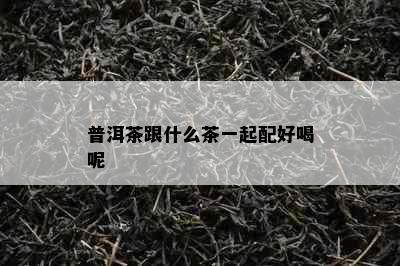 普洱茶跟什么茶一起配好喝呢