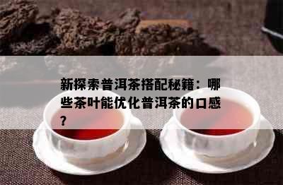 新探索普洱茶搭配秘籍：哪些茶叶能优化普洱茶的口感？