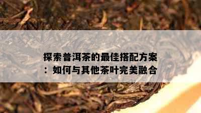 探索普洱茶的更佳搭配方案：如何与其他茶叶完美融合