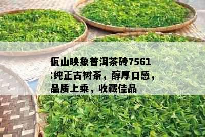 佤山映象普洱茶砖7561:纯正古树茶，醇厚口感，品质上乘，收藏佳品