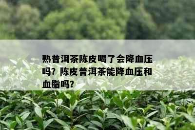 熟普洱茶陈皮喝了会降血压吗？陈皮普洱茶能降血压和血脂吗？