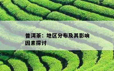 普洱茶：地区分布及其影响因素探讨