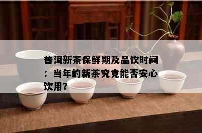 普洱新茶保鲜期及品饮时间：当年的新茶究竟能否安心饮用？