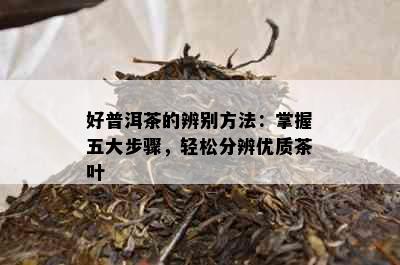 好普洱茶的辨别方法：掌握五大步骤，轻松分辨优质茶叶