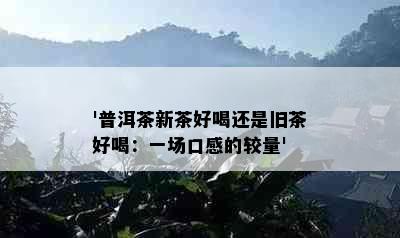 '普洱茶新茶好喝还是旧茶好喝：一场口感的较量'