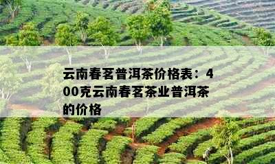 云南春茗普洱茶价格表：400克云南春茗茶业普洱茶的价格