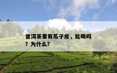 普洱茶里有瓜子皮，能喝吗？为什么？