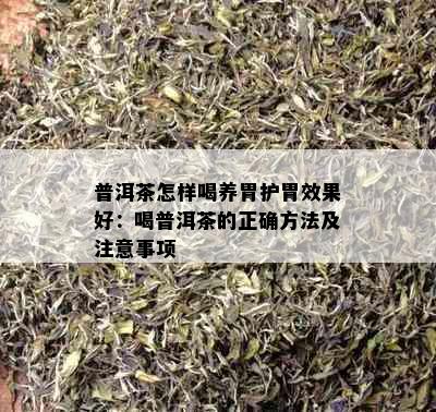 普洱茶怎样喝养胃护胃效果好：喝普洱茶的正确方法及注意事项