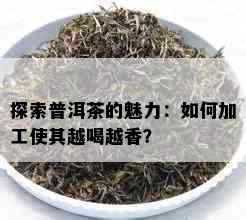 探索普洱茶的魅力：如何加工使其越喝越香？