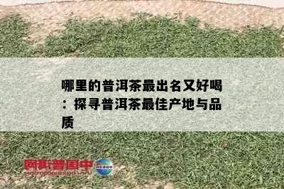 哪里的普洱茶最出名又好喝：探寻普洱茶更佳产地与品质