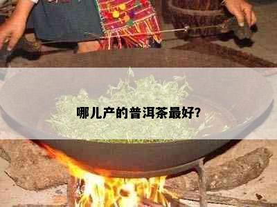 哪儿产的普洱茶更好？