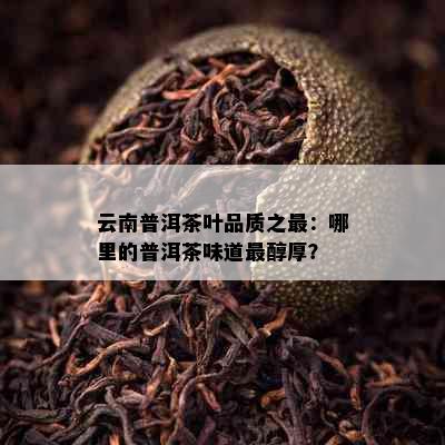 云南普洱茶叶品质之最：哪里的普洱茶味道最醇厚？