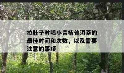 拉肚子时喝小青桔普洱茶的更佳时间和次数，以及需要注意的事项