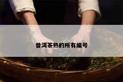 普洱茶熟的所有编号