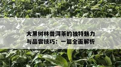 大黑树林普洱茶的独特魅力与品尝技巧：一篇全面解析