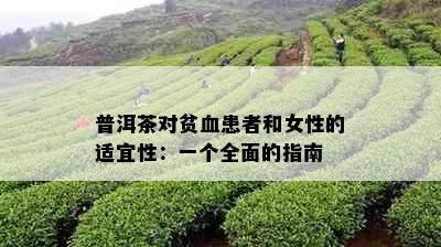 普洱茶对贫血患者和女性的适宜性：一个全面的指南