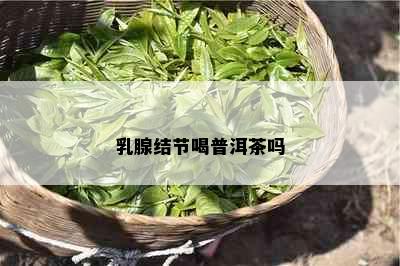 乳腺结节喝普洱茶吗