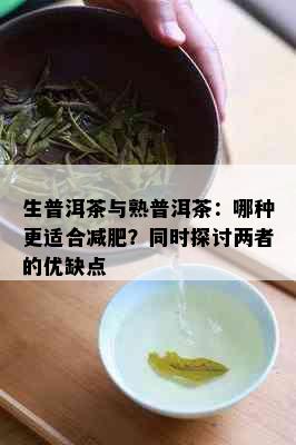 生普洱茶与熟普洱茶：哪种更适合减肥？同时探讨两者的优缺点