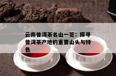 云南普洱茶名山一览：探寻普洱茶产地的重要山头与特色