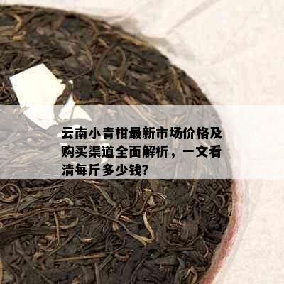 云南小青柑最新市场价格及购买渠道全面解析，一文看清每斤多少钱？