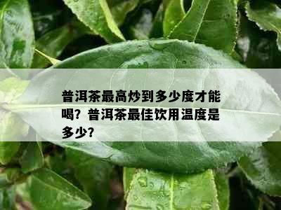 普洱茶更高炒到多少度才能喝？普洱茶更佳饮用温度是多少？