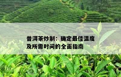 普洱茶炒制：确定更佳温度及所需时间的全面指南