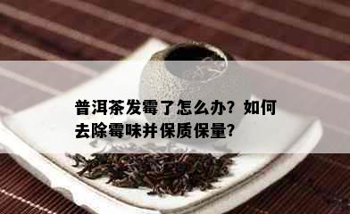 普洱茶发霉了怎么办？如何去除霉味并保质保量？