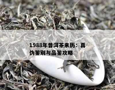 1988年普洱茶来历：真伪鉴别与品鉴攻略