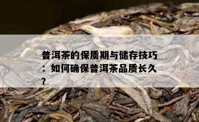 普洱茶的保质期与储存技巧：如何确保普洱茶品质长久？