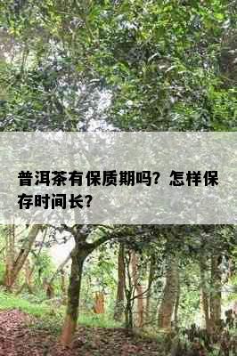 普洱茶有保质期吗？怎样保存时间长？