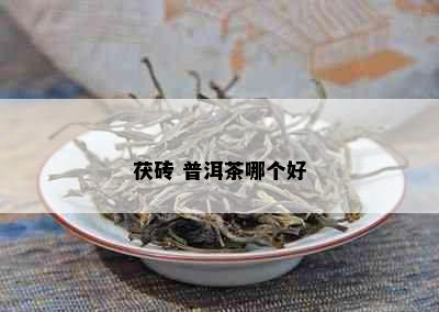 茯砖 普洱茶哪个好