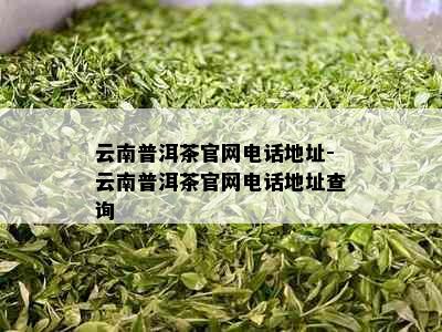 云南普洱茶官网电话地址-云南普洱茶官网电话地址查询