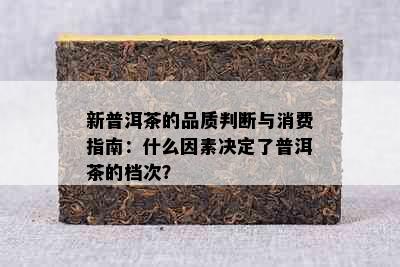 新普洱茶的品质判断与消费指南：什么因素决定了普洱茶的档次？