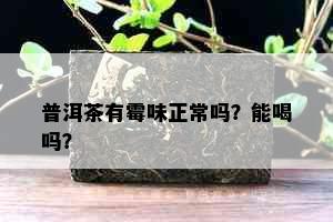 普洱茶有霉味正常吗？能喝吗？