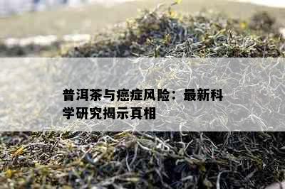 普洱茶与癌症风险：最新科学研究揭示真相