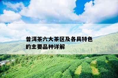 普洱茶六大茶区及各具特色的主要品种详解