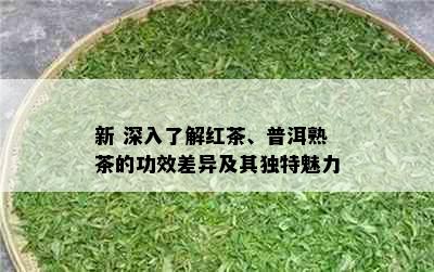 新 深入了解红茶、普洱熟茶的功效差异及其独特魅力