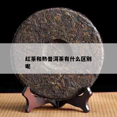 红茶和熟普洱茶有什么区别呢