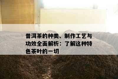 普洱茶的种类、制作工艺与功效全面解析：了解这种特色茶叶的一切