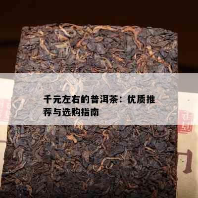 千元左右的普洱茶：优质推荐与选购指南