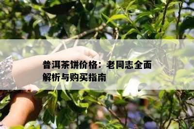 普洱茶饼价格：老同志全面解析与购买指南