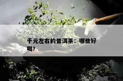 千元左右的普洱茶：哪些好喝？