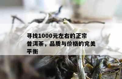 寻找1000元左右的正宗普洱茶，品质与价格的完美平衡